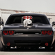 Illustration for article titled Cult Motorsports Custom Challenger SRT8 Looks Evil